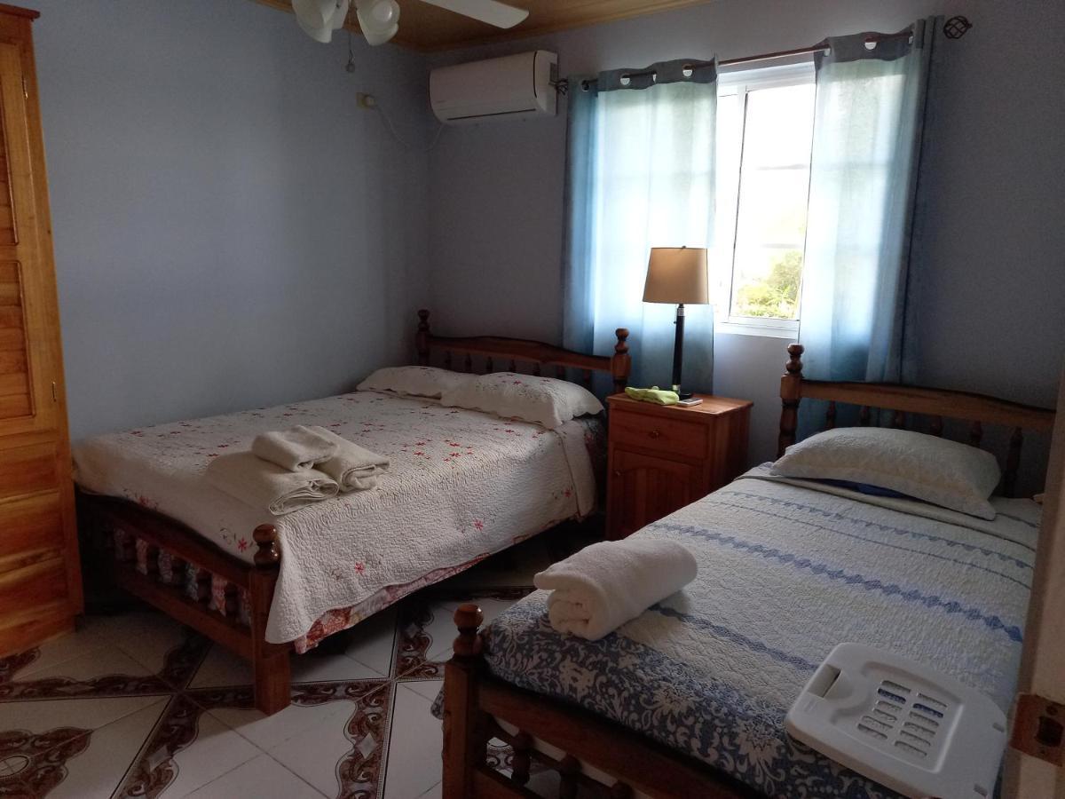 فيلا Urania House بوكاس تاون المظهر الخارجي الصورة